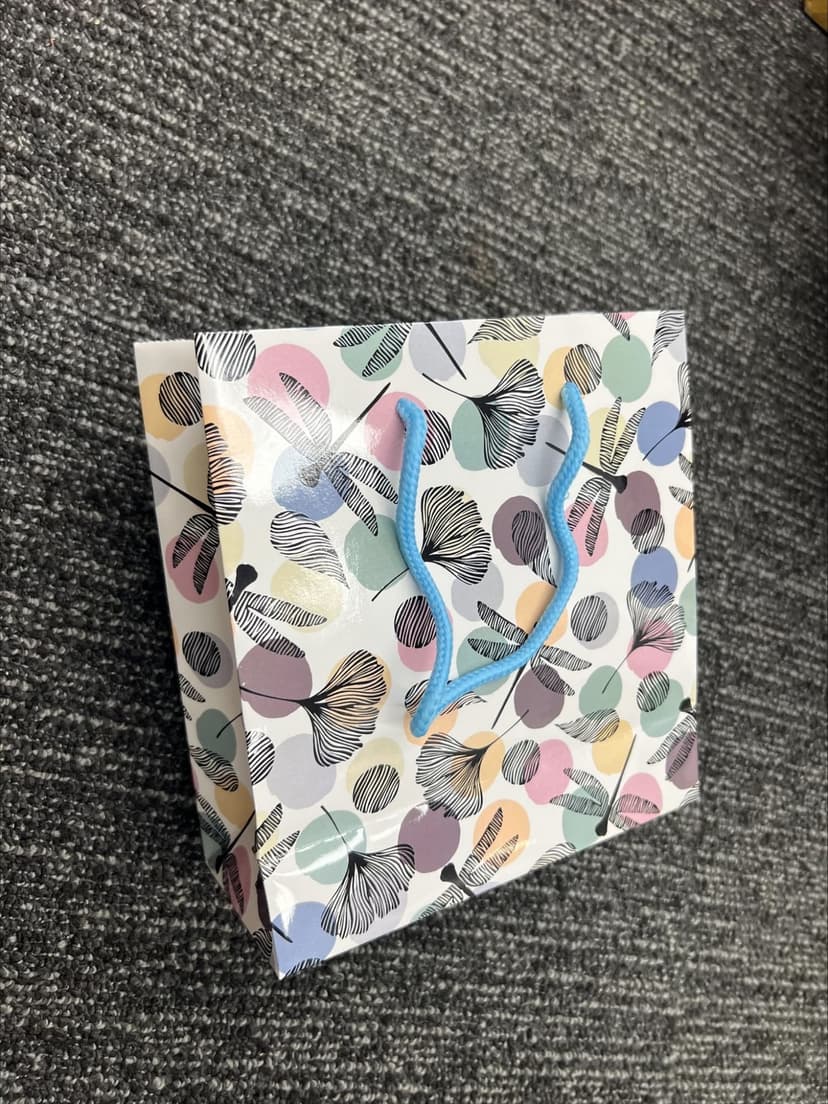 101print_13j_paperbags_gloss