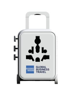Luggie Travel Plug