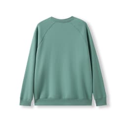A teal adults' cotton care sweatshirt with long sleeves and a relaxed fit, featuring a simple design.