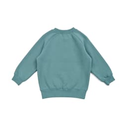 A mint green kids' sweatshirt featuring a crew neck and long sleeves, with ribbed cuffs and hem. It has a logo.