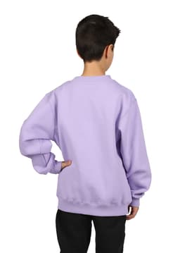 A purple crew neck jumper for kids, featuring long sleeves and a relaxed fit, with a branding logo on the back.