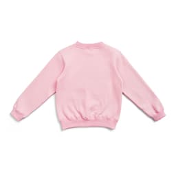 A pink crew neck jumper with long sleeves and ribbed cuffs, featuring a plain back.