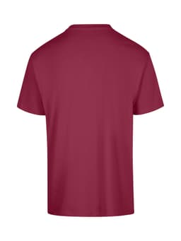 A maroon unisex regular t-shirt displayed from the back, featuring a simple design and a logo.