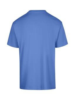 A plain blue unisex regular T-shirt featuring a back view. It has a simple design and is made from soft fabric.