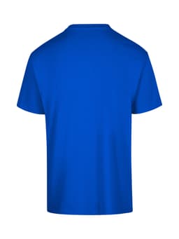 A blue unisex regular T-shirt with a crew neck and short sleeves. The back view highlights a solid colour design.