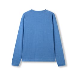 A blue heather long sleeve T-shirt with a rounded neckline and raglan sleeves, featuring a logo on the back.