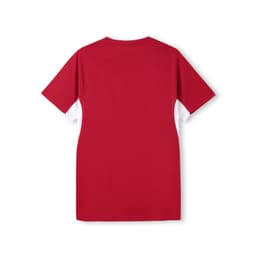 A red men's T-shirt with short sleeves, featuring a design on the back and a logo.