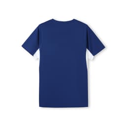 A blue men’s t-shirt with a smooth fabric and a back view. The shirt features a logo on the side.