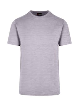 A grey unisex t-shirt with a round neck and short sleeves, featuring a logo on the label.
