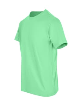 A green unisex t-shirt with short sleeves, featuring a simple design and a logo.
