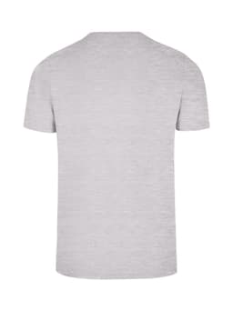 A grey men's slim fit T-shirt with a plain back and short sleeves, featuring a small logo.