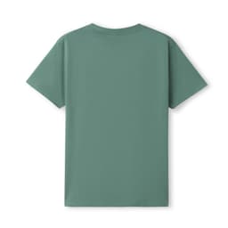 A unisex earth care T-shirt in a muted green tone with a plain back and short sleeves.