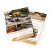 A stack of two A4 flyers, featuring a mix of images and a gold and white colour scheme, with a logo present.