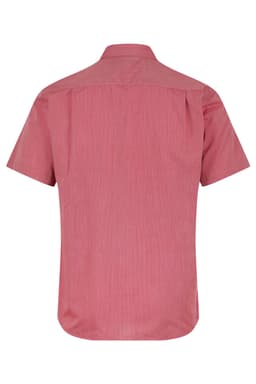 A short sleeve button-up shirt in a red and white striped pattern, featuring a back yoke and collar.