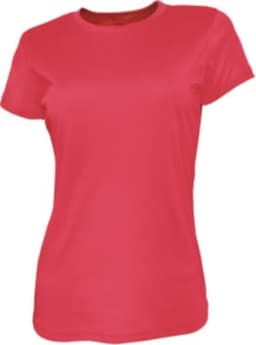 A pink ladies' brushed tee shirt with a classic cut and short sleeves, featuring a logo.