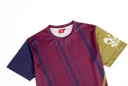 A maroon and olive green skateboard-themed T-shirt with a logo, featuring horizontal stripes and a crew neck design.