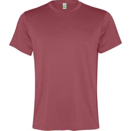 A maroon t-shirt with a classic crew neck and short sleeves. It features a label inside but no visible branding.