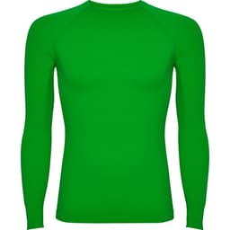 A green long-sleeved t-shirt with a fitted design and raglan sleeves. It features a logo.