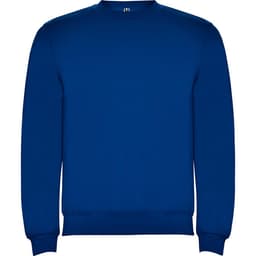 A blue sweatshirt with a round neckline and long sleeves, featuring a logo on the front.