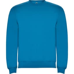 A blue sweatshirt featuring a crew neck and long sleeves. It includes a logo on the front.