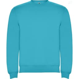 A turquoise sweatshirt with a crew neck and ribbed cuffs, featuring a logo on the chest.