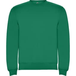 A green sweatshirt with a crew neckline and a logo on the label.