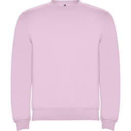A pink sweatshirt with a crew neckline and long sleeves. It has a small logo on the neckline.