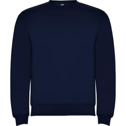 A navy blue sweatshirt with a round neckline and long sleeves. It features a simple design and has a logo.