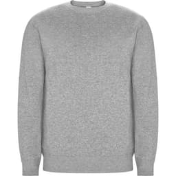 A grey sweatshirt with a crew neck and long sleeves, featuring a simple design and no visible branding.