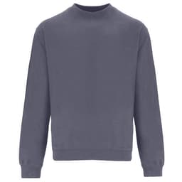 A grey sweatshirt with long sleeves and a round neck, featuring a simple design and a logo.