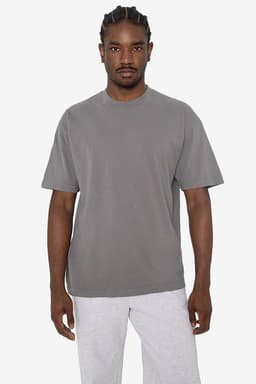 A grey short sleeve crewneck tee displayed on a model, featuring a relaxed fit and a logo.