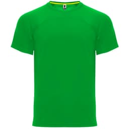 A green Monaco T-Shirt with a round neck and short sleeves. It features a branding logo.