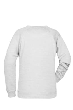 A grey ladies' sweater featuring long sleeves and a simple design. The back view is displayed with a logo.