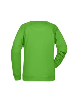 A green jumper with long sleeves and a rounded neckline, featuring a plain back and a logo.
