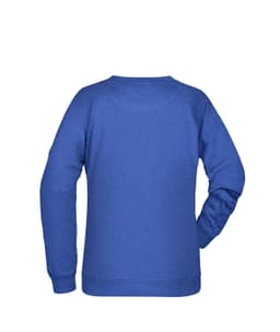 A blue jumper with a crew neck and long sleeves, featuring a logo on the back side.