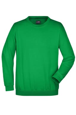A green crew neck sweatshirt with long sleeves and a ribbed hem. It has a branding logo on the interior label.