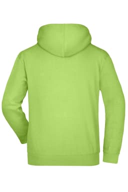 A green hooded sweatshirt with a back view, featuring a hoodie and long sleeves. It has a logo.