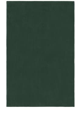 A dark green microfibre fleece blanket XL with a soft texture, suitable for home use. It has a logo on the corner.