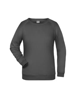 A grey ladies' sweatshirt featuring a crew neck and long sleeves, with a simple design and a logo present.
