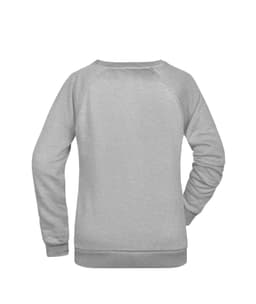 A grey ladies' jumper with a simple design and raglan sleeves, featuring a back view and a logo.