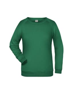 A green sweater with long sleeves, featuring a round neck and ribbed cuffs. It has a branding logo.