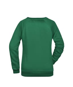 A green jumper with a raglan cut and long sleeves, featuring a back view. Includes branding.