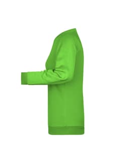 A vibrant green ladies' sweatshirt featuring a classic crew neck and long sleeves. It has a logo on the front.