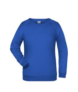 A blue sweatshirt with a relaxed fit and ribbed cuffs, featuring a logo on the chest.