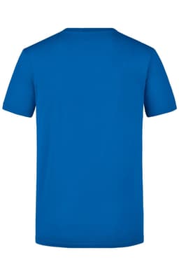 A royal blue T-shirt with a simple design, featuring a back view and a logo at the neck.