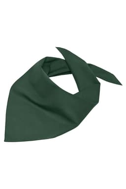A triangular scarf in deep green, featuring a smooth fabric and a simple design. It has a logo on one side.