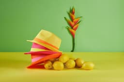 A vibrant pink and yellow promotional hat rests beside a group of lemons on a bright green background.