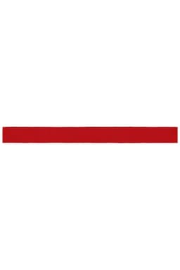 A red ribbon with a solid colour and a flat, rectangular shape, featuring a logo.