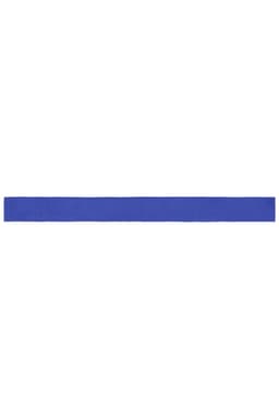 A blue promotional ribbon in a long, flat design, featuring a branding logo.