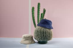 A beige bucket hat and a navy bucket hat placed on a decorative cactus against a pink background.